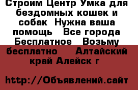 Строим Центр Умка для бездомных кошек и собак! Нужна ваша помощь - Все города Бесплатное » Возьму бесплатно   . Алтайский край,Алейск г.